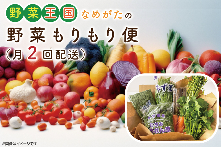 CU-139 野菜王国なめがたの野菜もりもり便(月2回発送)