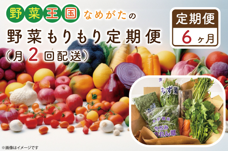 CU-141 【6ヶ月定期便】野菜王国なめがたの野菜もりもり定期便(月2回発送)