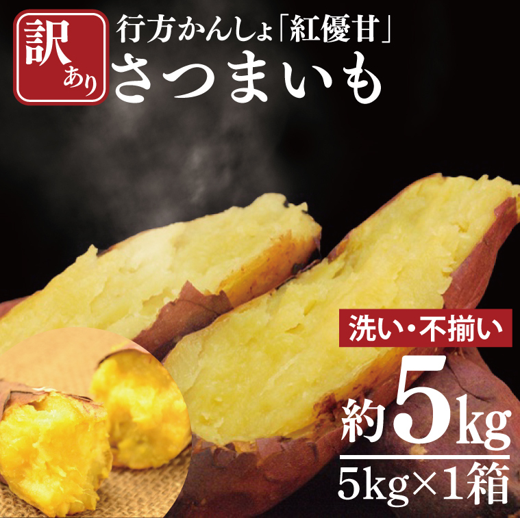 【2025年11月下旬より順次発送】【訳あり】行方かんしょ「紅優甘」さつまいも約5kg(洗い・不揃い)｜さつまいも サツマイモ さつま芋 お芋 紅優甘 行方かんしょ 訳あり わけあり 訳アリ 茨城県 行方市(AE-94)