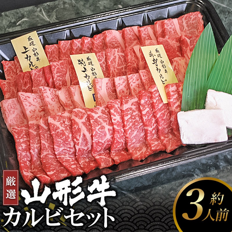厳選 山形牛カルビセット(約3人前) 山形県のブランド和牛【上・赤身・特上カルビ】 B15-301