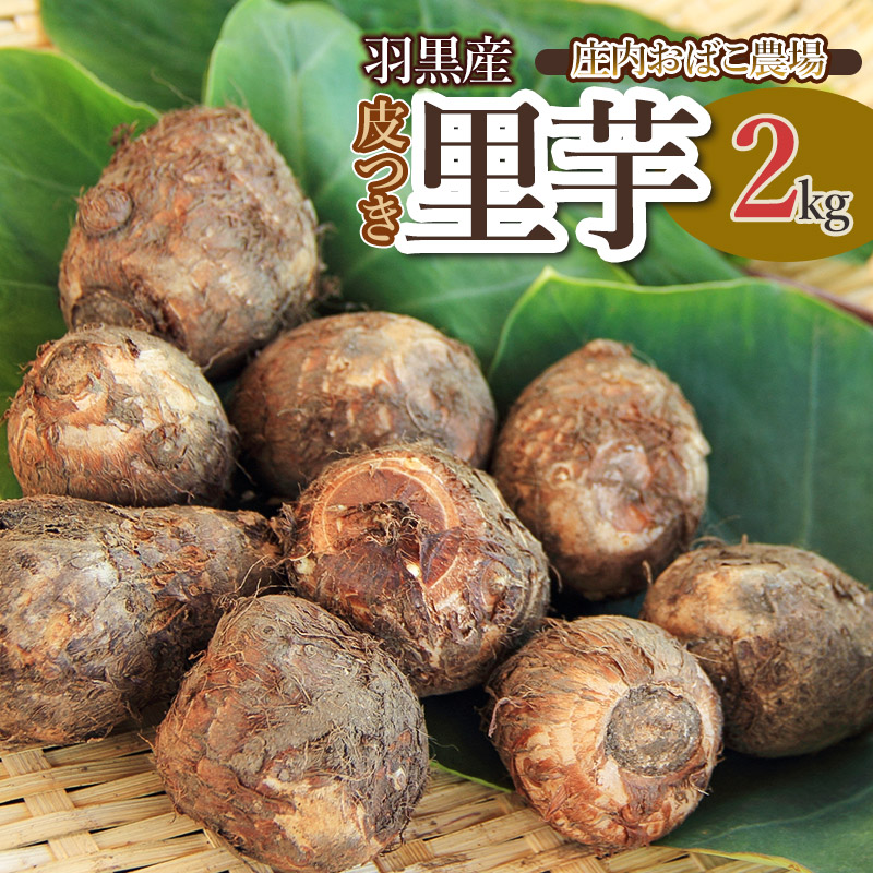 [令和7年産] 羽黒産 皮つき里芋 2kg 山形県鶴岡市 農事組合法人庄内おばこ農場