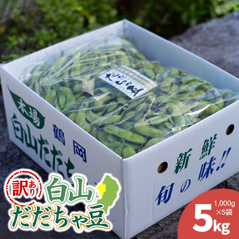 【令和8年産先行予約】【訳あり】白山だだちゃ豆 5kg(1kg × 5袋) 長五郎