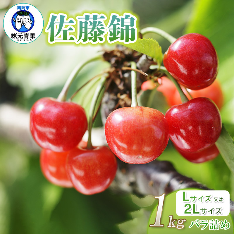 【令和6年産先行予約】 さくらんぼ 佐藤錦 (L又は2Lサイズ) 1kg バラ詰め 山形県鶴岡市産　株式会社 元青果
