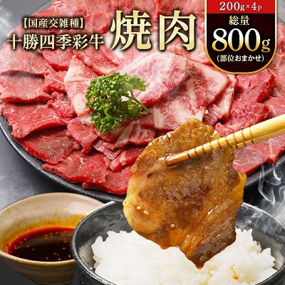 十勝四季彩牛焼肉(部位おまかせ)総量800g(200g×4P)【国産交雑種】【配送不可地域：離島】【1211792】