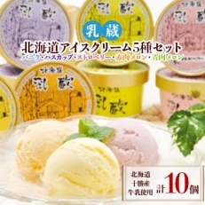 乳蔵北海道アイスクリーム5種セット(計10個)(110130)【配送不可地域:離島】【1206078】