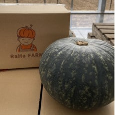 北海道帯広市産　かぼちゃ「きみまろん」10kg　糖度15～19【1548011】