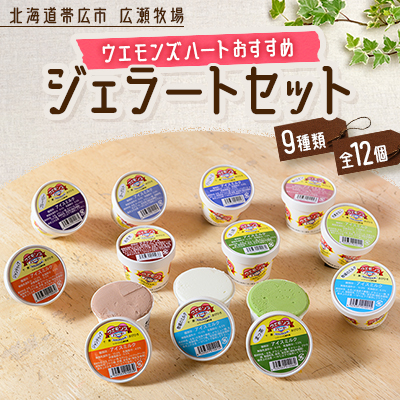 ウエモンズハートおすすめ ジェラートセット(9種類 全12個)【配送不可地域:離島】【1205880】