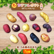 ひろ　カラフルポテト6種類セット　新じゃがいも 0711122610_68708452e19e0.jpg