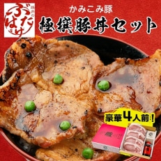 豚丼のぶたはげ「極撰豚丼セット4人前」【配送不可地域:離島】【1205703】
