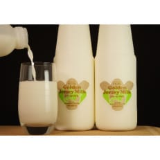 2023年5月発送開始『定期便』ジャージーゴールデンミルク　900ml×3本セット全3回【配送不可地域：離島】【5130946】