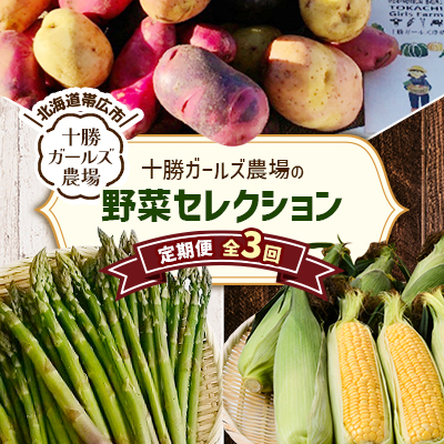 【発送月固定定期便】直送!【北海道の定番便】十勝ガールズ農場の野菜セレクション全3回【配送不可地域:離島】【4012917】