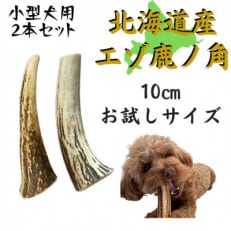 鹿の角 お試しサイズ 10cm 2本 犬のおもちゃ デンタルケア 小型犬用【1415910】