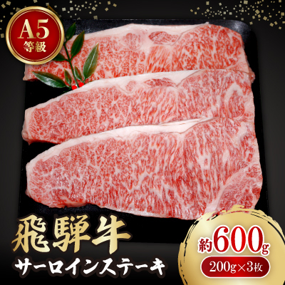 飛騨牛A5等級 サーロインステーキ 約600g(200g×3)【配送不可地域:離島】【1125934】