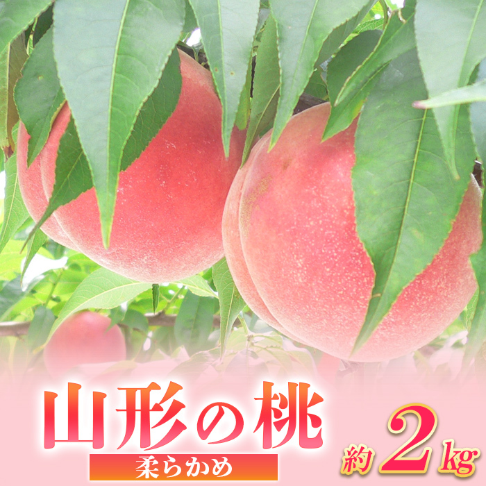 山形の桃 [柔らかめ] 約2kg(4〜9個) [令和7年産先行予約]FS24-661