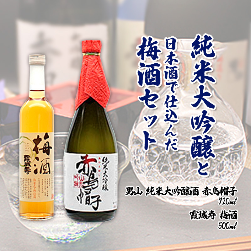 純米大吟醸と日本酒で仕込んだ梅酒セット 男山 FZ20-048