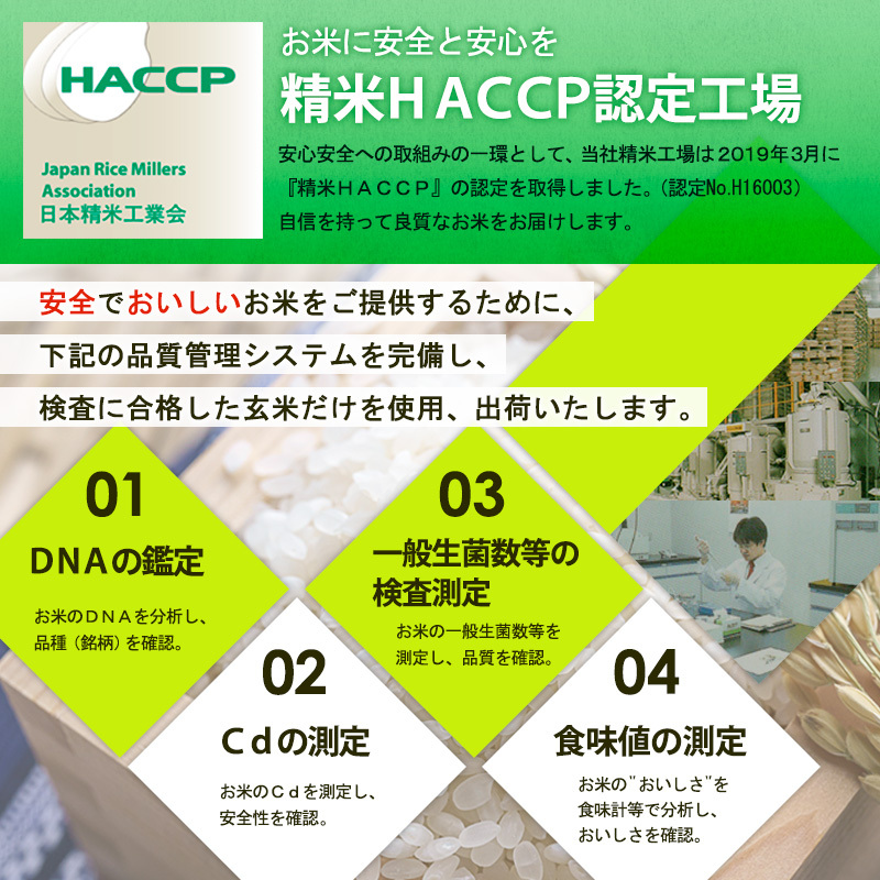 山形産 つや姫 (精米) 6kg (2kg×3) FY25-894 | 山形県山形市