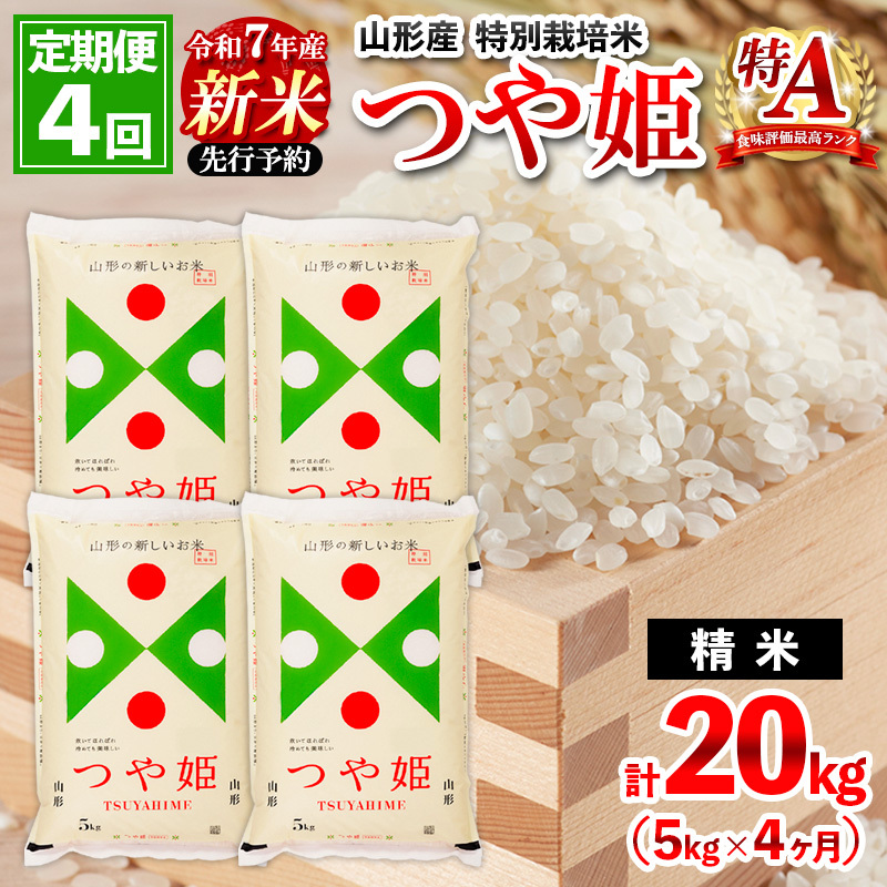 [定期便4回] 先行予約 令和7年産 新米 山形産 特別栽培米 つや姫5kg×4ヶ月(計20kg)[11月発送開始] FZ25-086