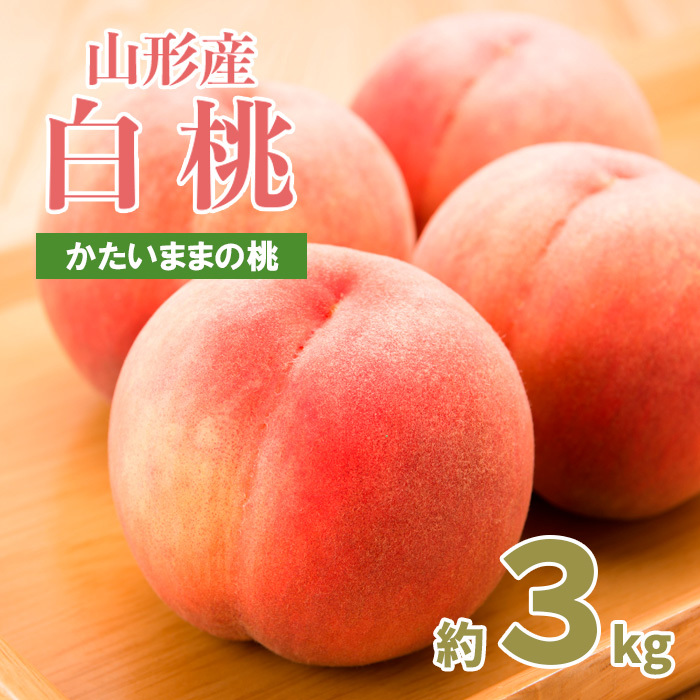 パリっとおどろき食感!山形産もも 3kg(7〜11玉) [硬いままの桃] [令和7年産先行予約]FU22-787