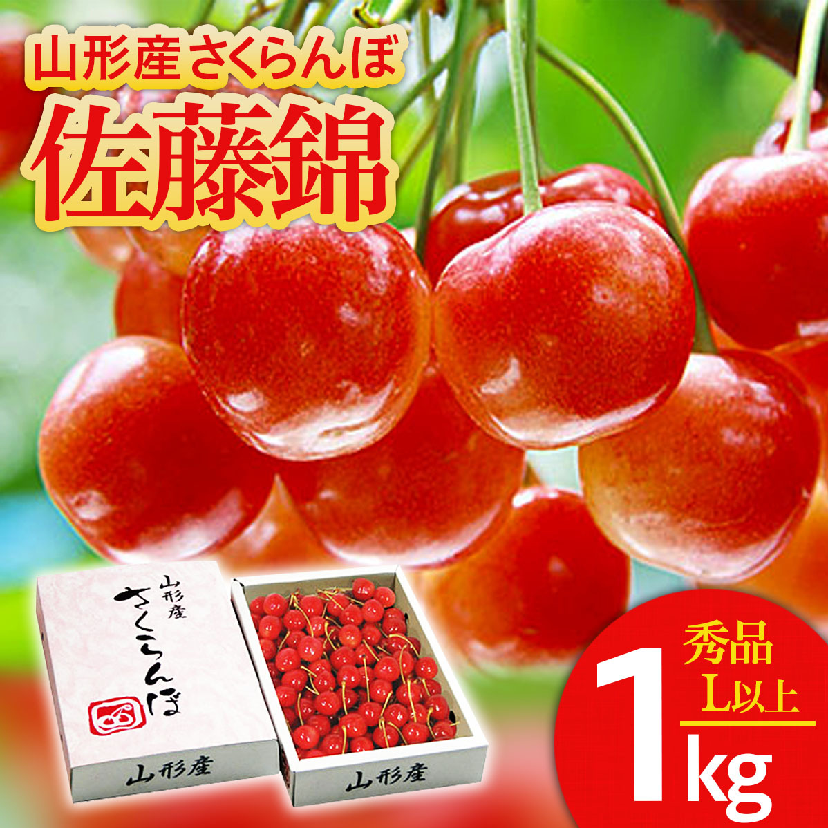 さくらんぼ 佐藤錦 Lサイズ以上 1kg 1箱 【令和8年産先行予約】FS25-563