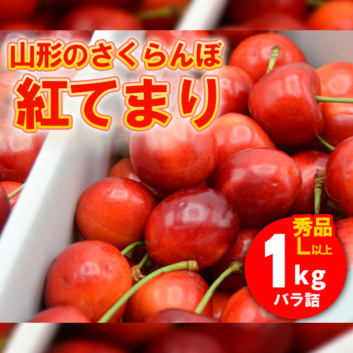 山形のさくらんぼ 紅てまり 1kg Lサイズ以上 バラ詰 [令和8年産先行予約]FS25-526