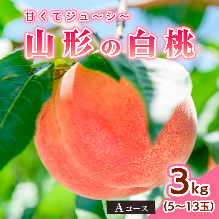 山形の白桃3kg(5〜13玉)Aコース[柔らかくなる品種] [令和7年産先行予約]FS24-563