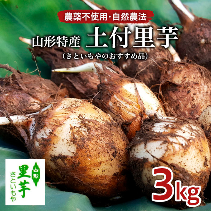 農薬不使用 自然農法 山形特産 土付里芋 3kg!(さといもやのおすすめ品) FZ23-134