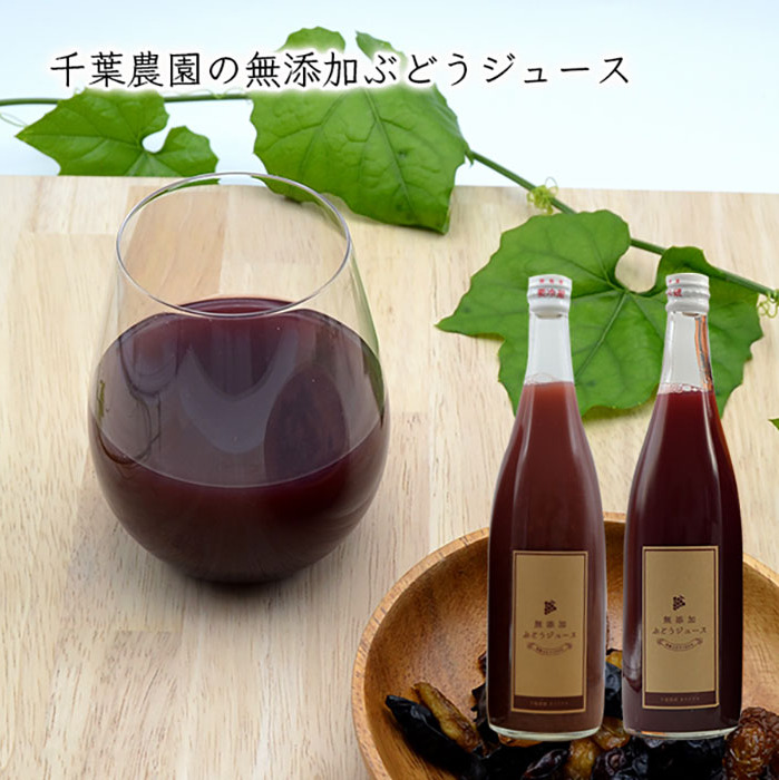 山形の無添加ぶどうジュース 600ml×2本セット(デラウェア) FZ23-147
