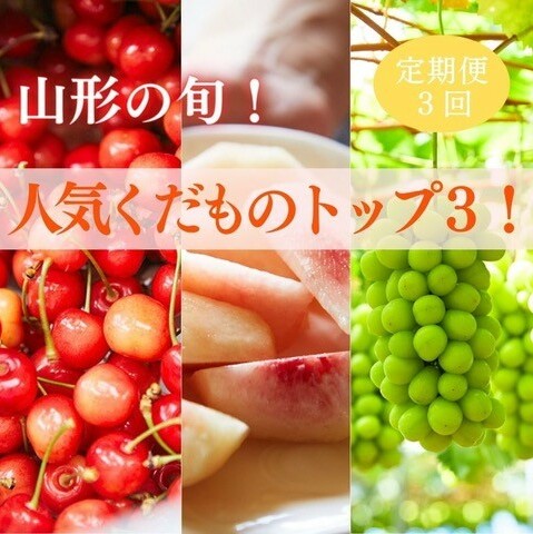 [定期便3回]山形の旬!人気くだものトップ3! [令和7年産先行予約]FS24-507