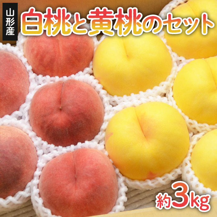 山形の白桃と黄桃のセット 約3kg(6〜13玉)[柔らかくなる品種・果肉やや硬め] [令和7年産先行予約]FS24-567