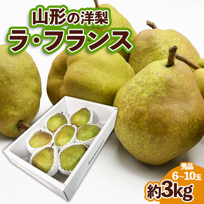 山形の洋梨ラフランス 秀品 約3kg (6〜10玉) FZ23-650