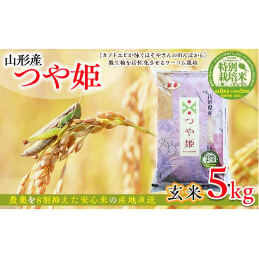 令和6年度産 山形産 「つや姫」5kg (玄米) 特別栽培米 8割減農薬・9割減化学肥料(当地比)[カブトエビが泳ぐほそやさんの田んぼから]微生物を活性化させるワーコム栽培 FY25-126