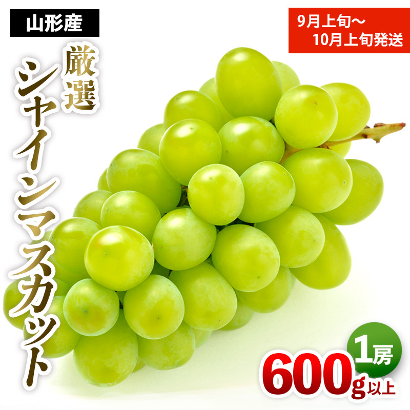 厳選シャインマスカット 秀品 600g以上 1房入 1箱 [前半] [令和7年産先行予約]FS24-604