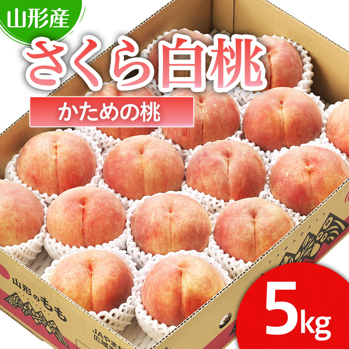 山形市産 桃「さくら白桃」 秀以上 5kg(12玉〜16玉)[かための桃] [令和7年産先行予約]FS24-620