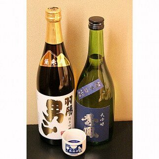 酒未来&限定流通 720ml×2本セット FZ23-239