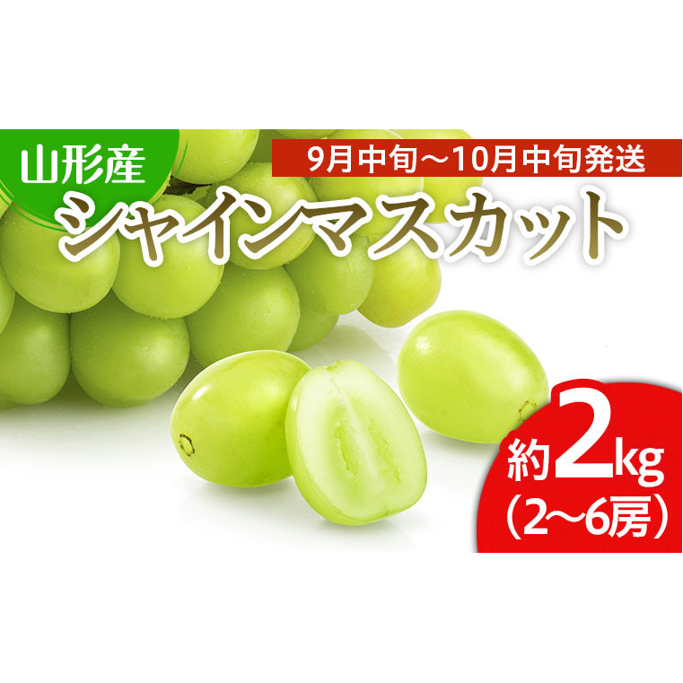山形市産 シャインマスカット 秀 2kg(2～6房)[前半] 【令和7年産先行予約】FS24-659