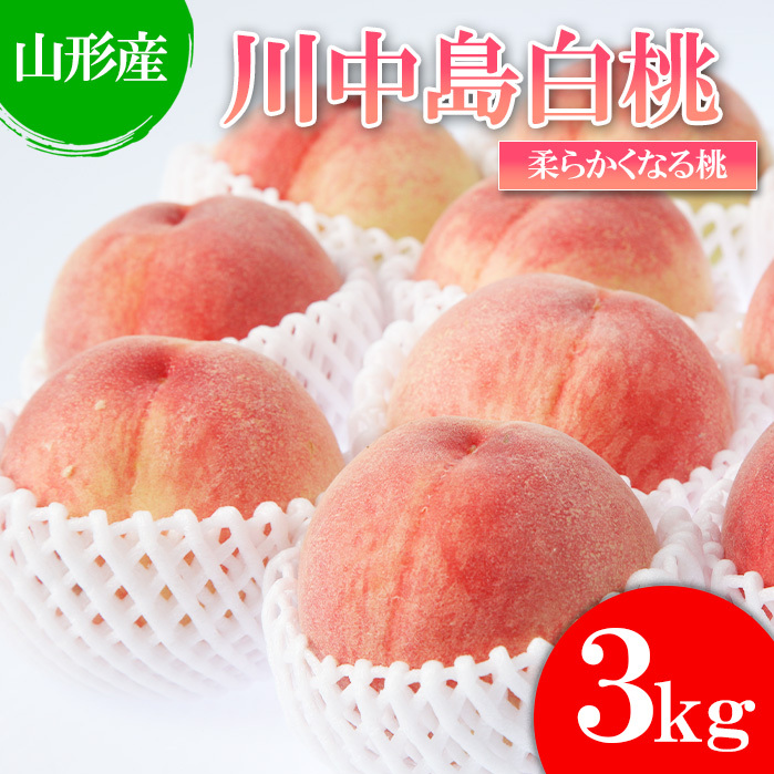 [白桃]川中島白桃 3kg(6〜12玉)[柔らかくなる桃] [令和7年産先行予約]FU22-783
