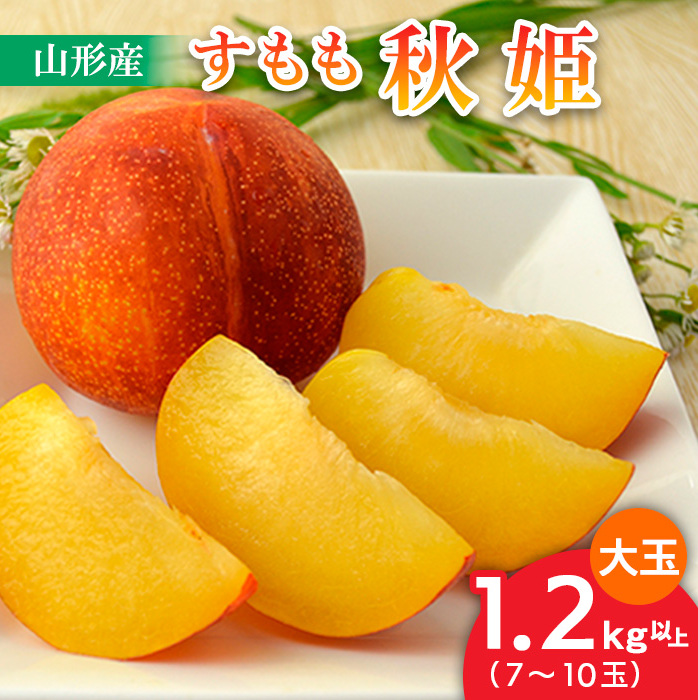 山形のすもも[秋姫]大玉 1.2kg以上(7〜10玉) [令和7年産先行予約]FU22-800