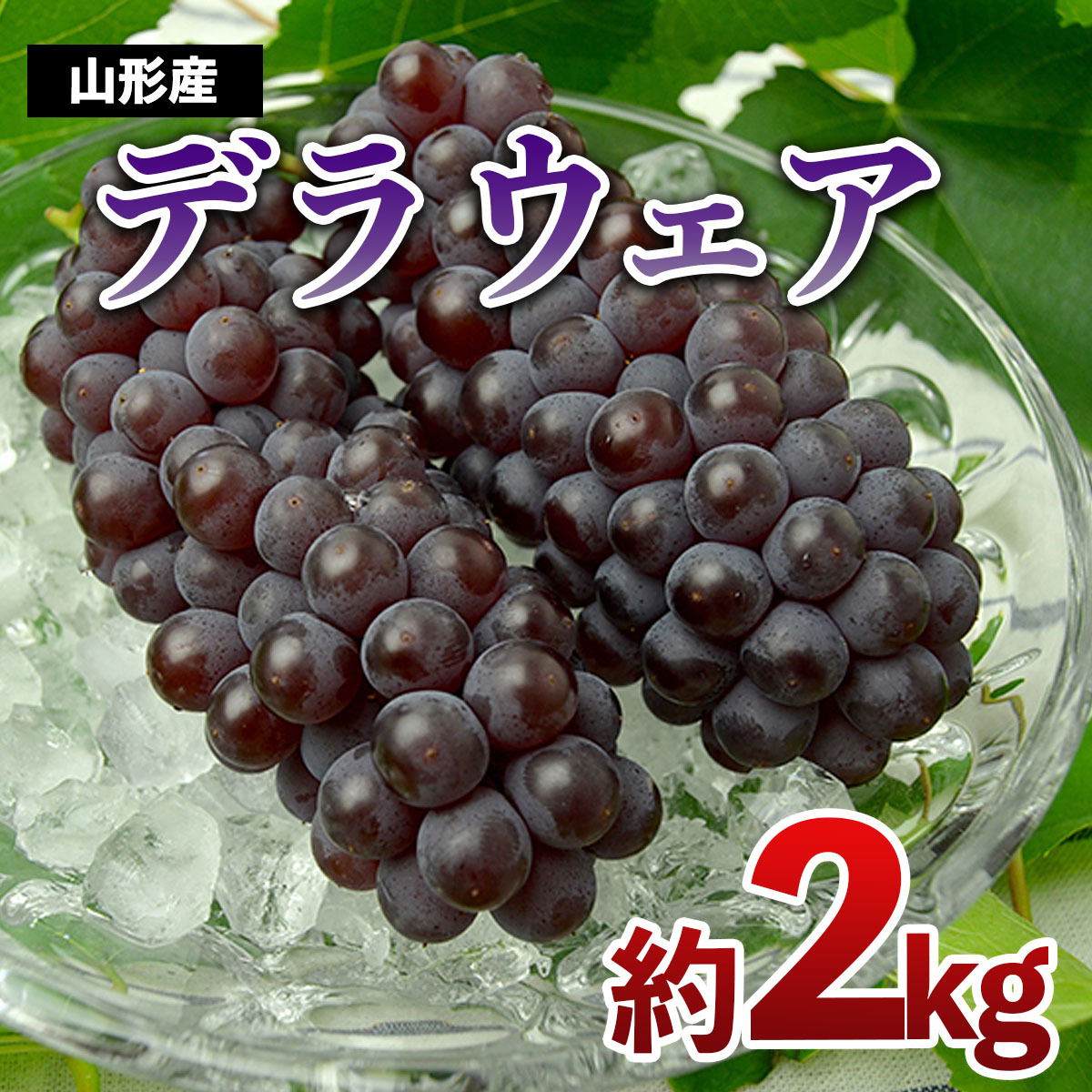 山形のぶどう デラウエア 約2kg(L〜3L/10〜16房) [令和7年産先行予約]FS24-569