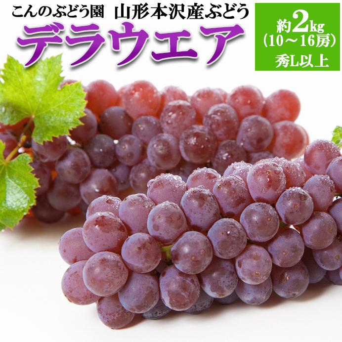 [こんのぶどう園]山形本沢産 ぶどう デラウェア 秀L以上 約2kg(10〜16房) [令和7年産先行予約]FU22-322