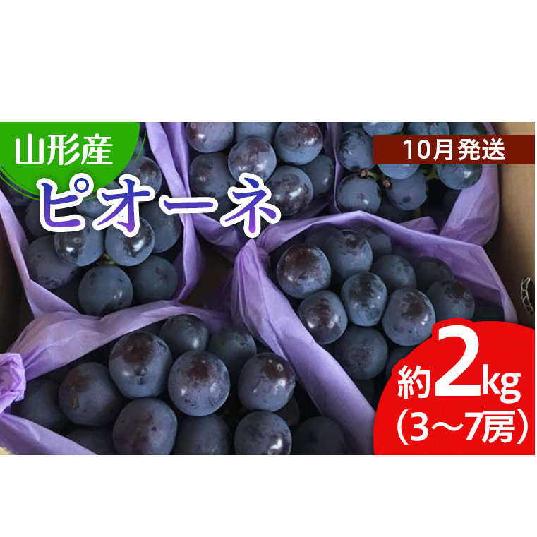 山形市産 ぶどう(ピオーネ) 秀 2kg(3〜7房)[後半] [令和7年産先行予約]FU22-038
