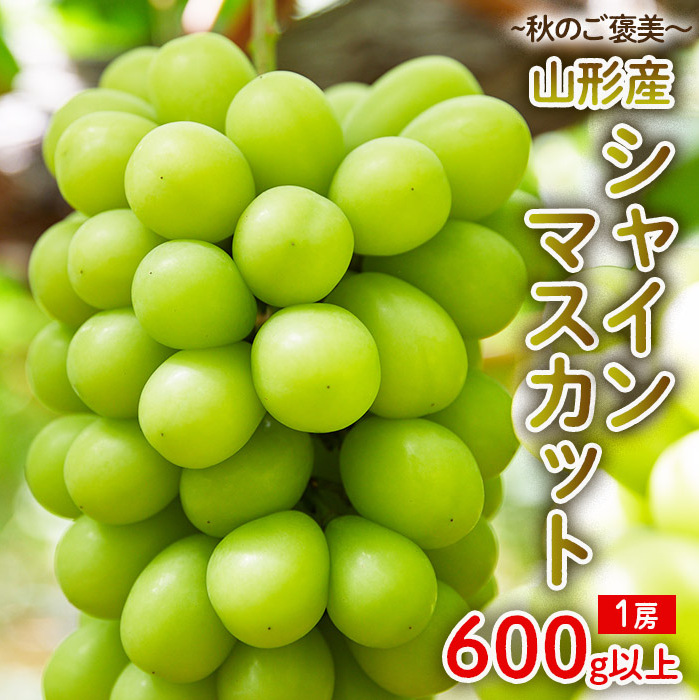 〜秋のご褒美〜シャインマスカット1房 600g以上 [令和7年産先行予約]FU22-016