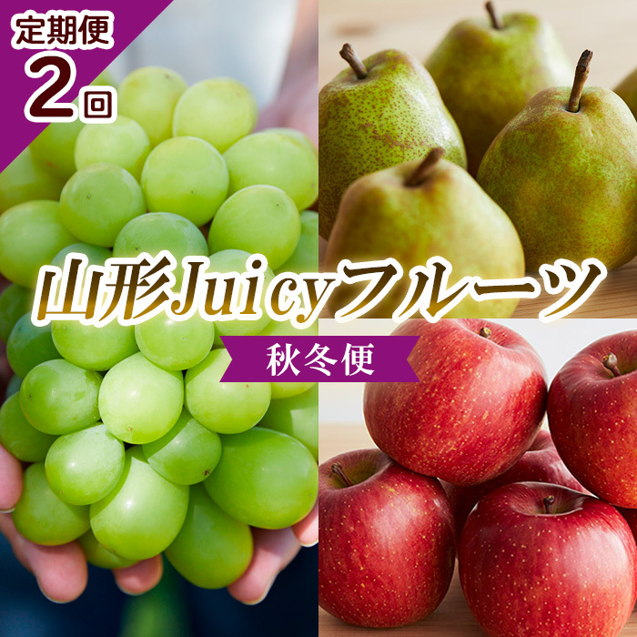 [定期便2回]山形 Juicyフルーツ 秋冬便 [令和7年産先行予約]FU23-925