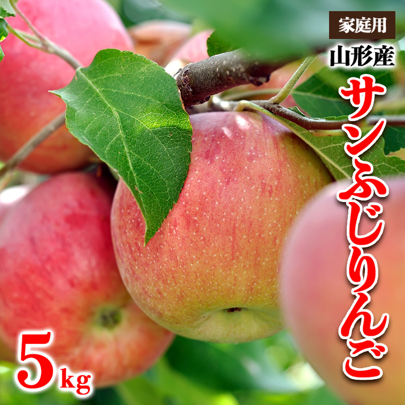 【家庭用】山形産 サンふじりんご 優品以上 5kg FY25-817