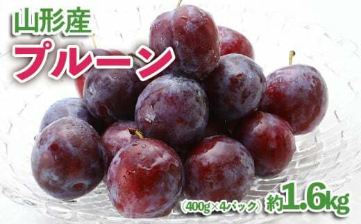 山形産 プルーン 約1.6kg(400g×4パック) [令和7年産先行予約]FU23-535