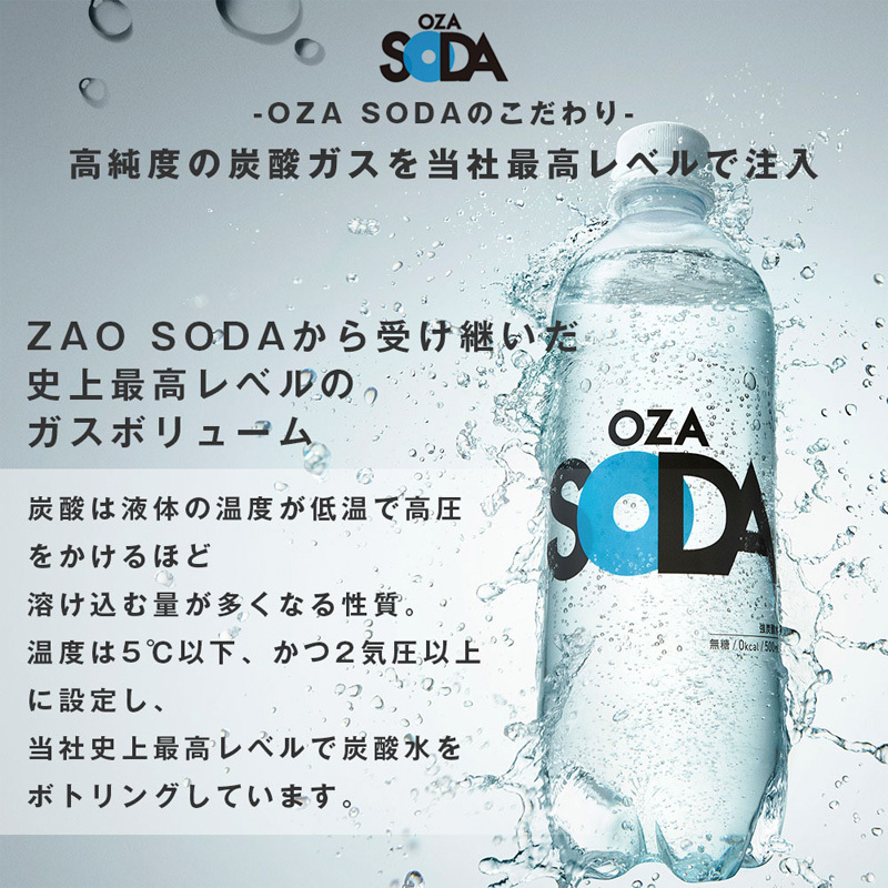 sodaさまのお品 Z－262 金華本体（B） | 製品詳細 | シーピー化成株式会社