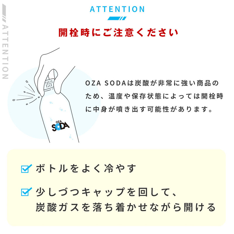 OZA SODA 強炭酸水 500ml×48本 フレーバーが選べる！ FZ23-525