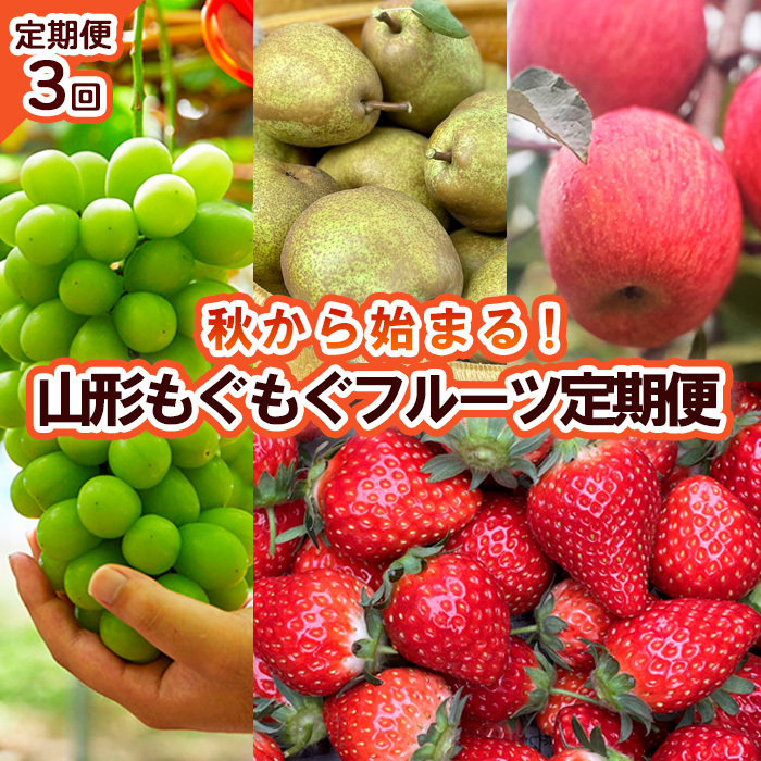 [定期便3回]秋から始まる!山形もぐもぐフルーツ定期便 [令和7年産先行予約]FU23-926
