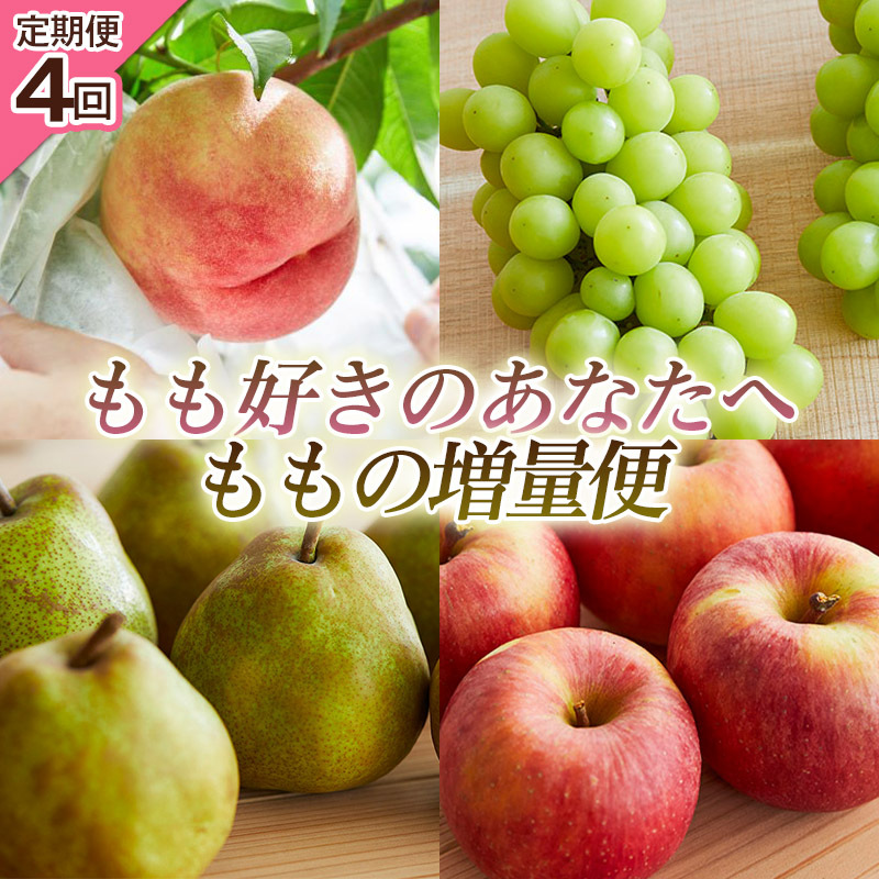 [定期便4回]もも好きのあなたへ ももの増量便 FY25-220