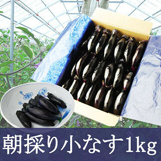 やまがたの朝採り漬物用小なす1kg 漬物の素付き FZ20-172