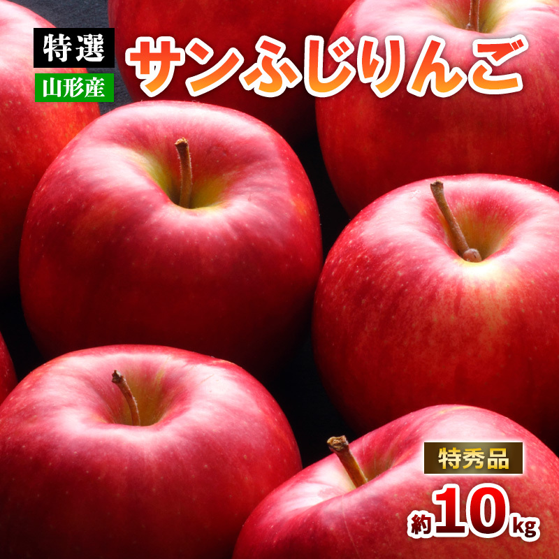 [特選]山形のサンふじりんご 約10kg 特秀品(20〜50玉) FZ19-141